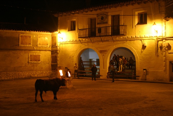 Imagen provincia de Teruel, Gudar 1, toroel