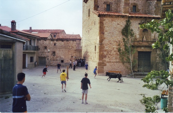 Imagen provincia de Teruel, Gudar 6, toros